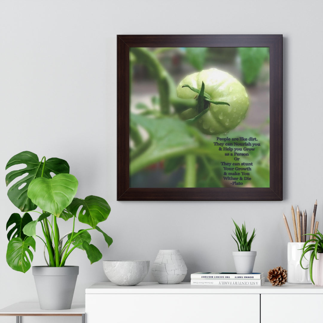 What type of soil are you? PLATO QUOTE, Framed Vertical Poster