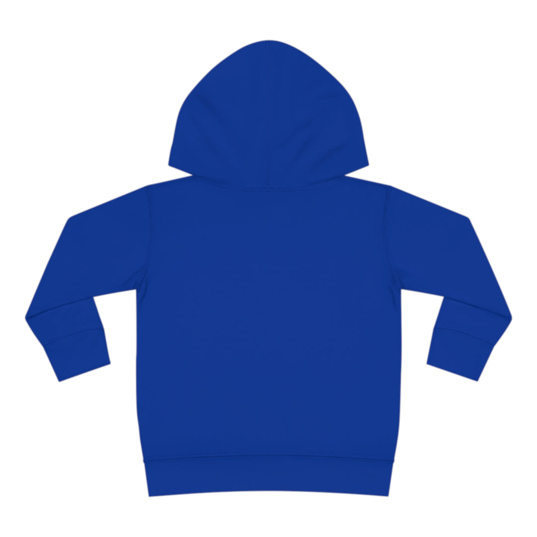 Stay positive dawg Pullover Fleece Hoodie