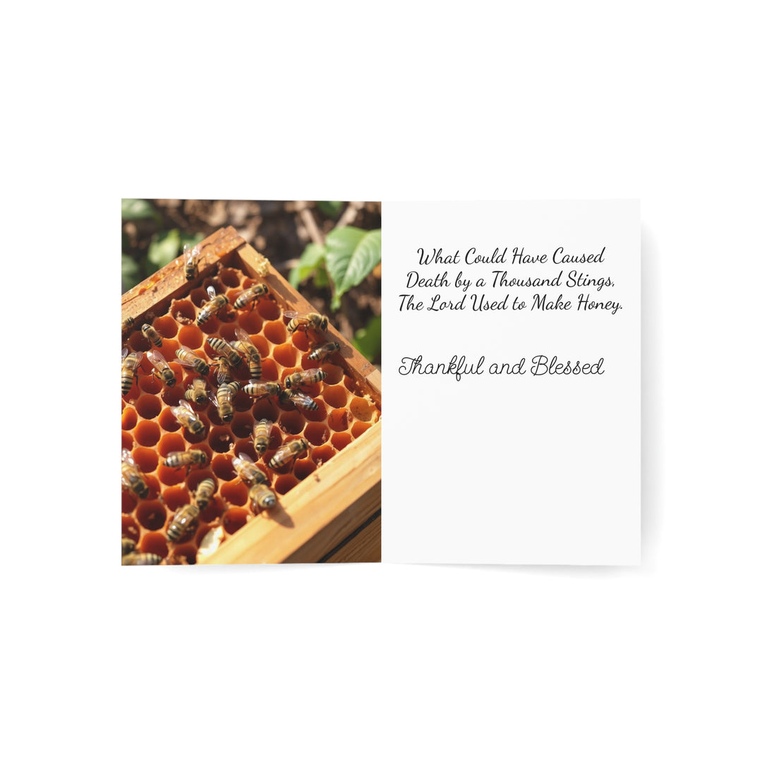 Greeting Cards Set - Faith Filled Quotes, Thanksgiving Card - 1, 10, 30, and 50pcs