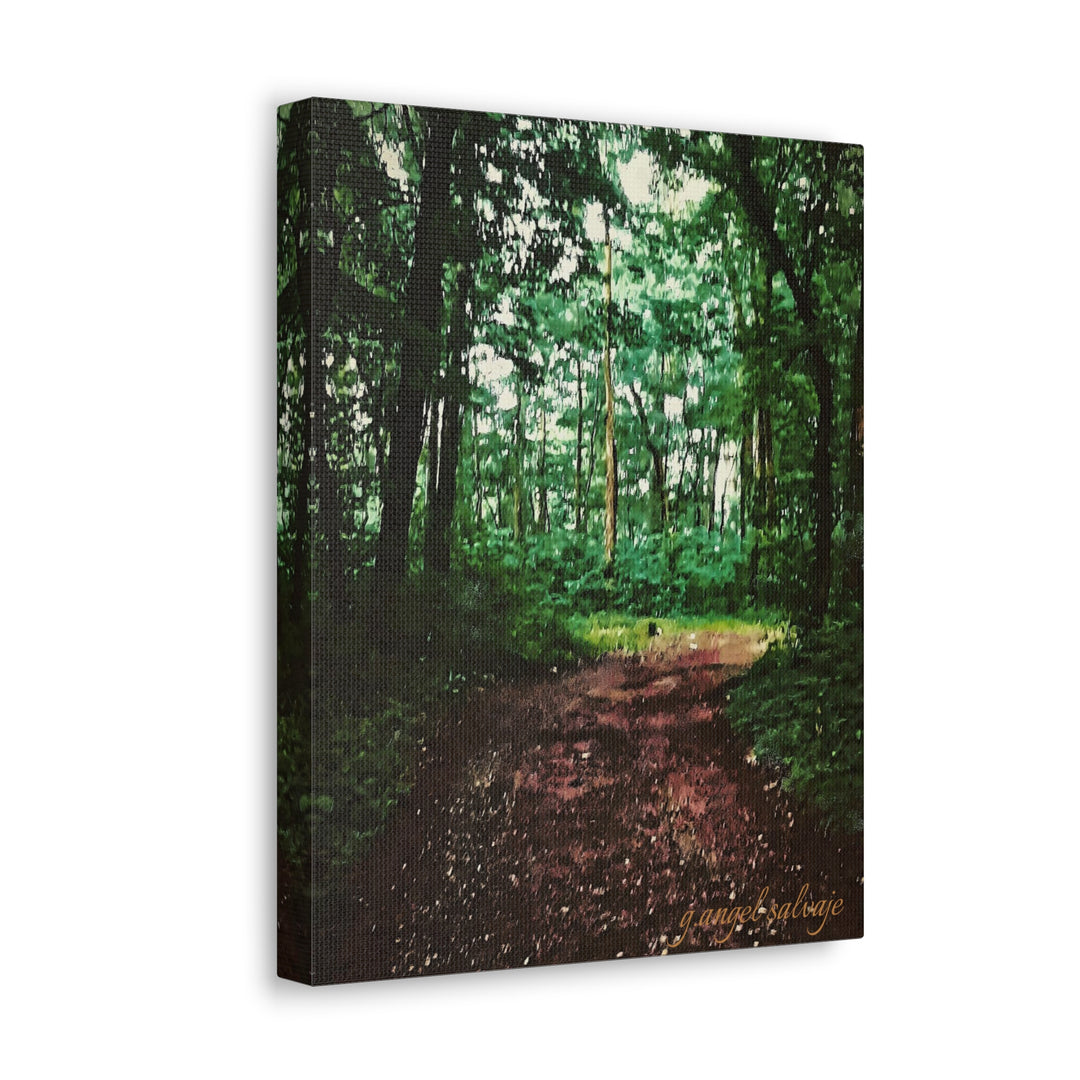Long and Winding Path Canvas Gallery Wraps