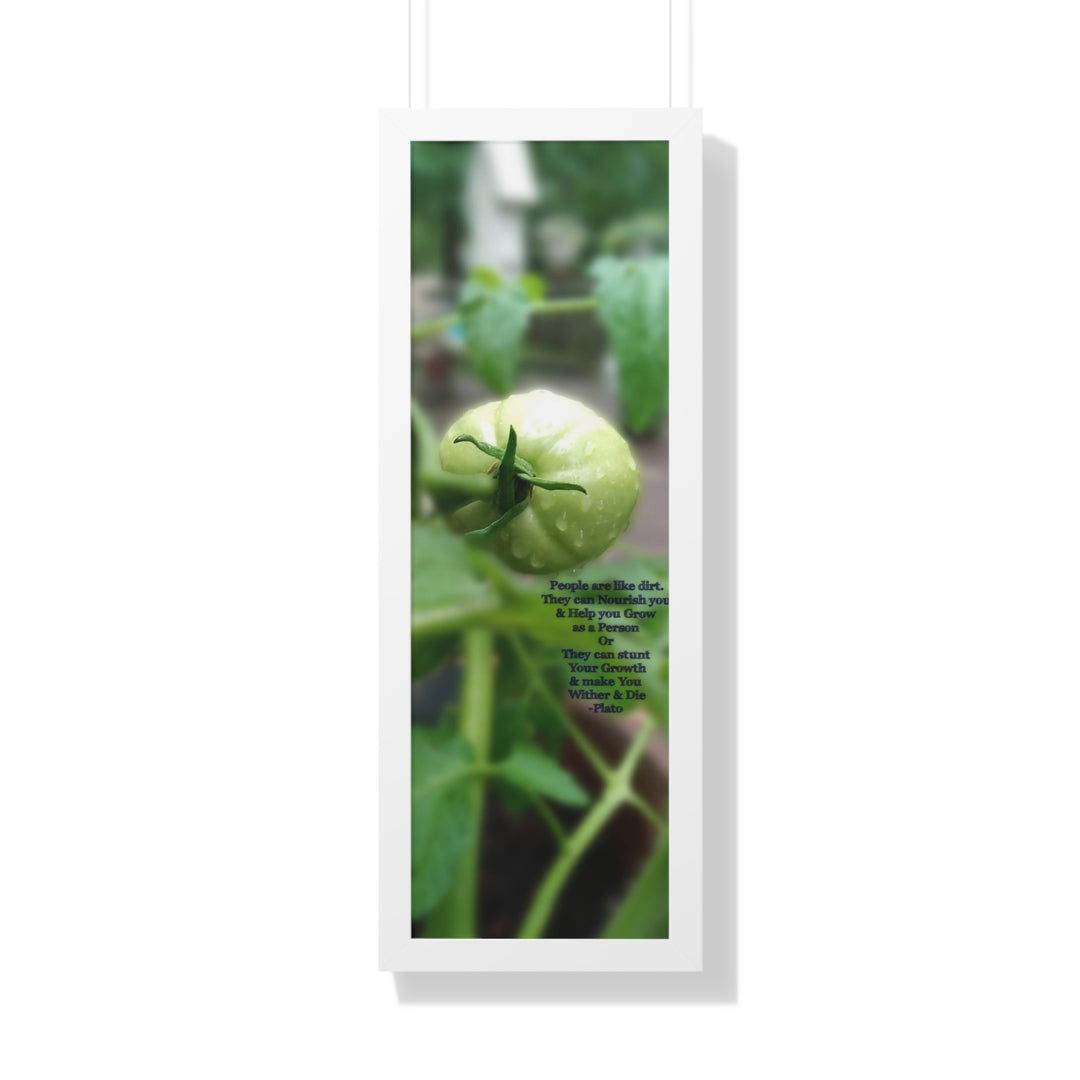 What type of soil are you? PLATO QUOTE, Framed Vertical Poster