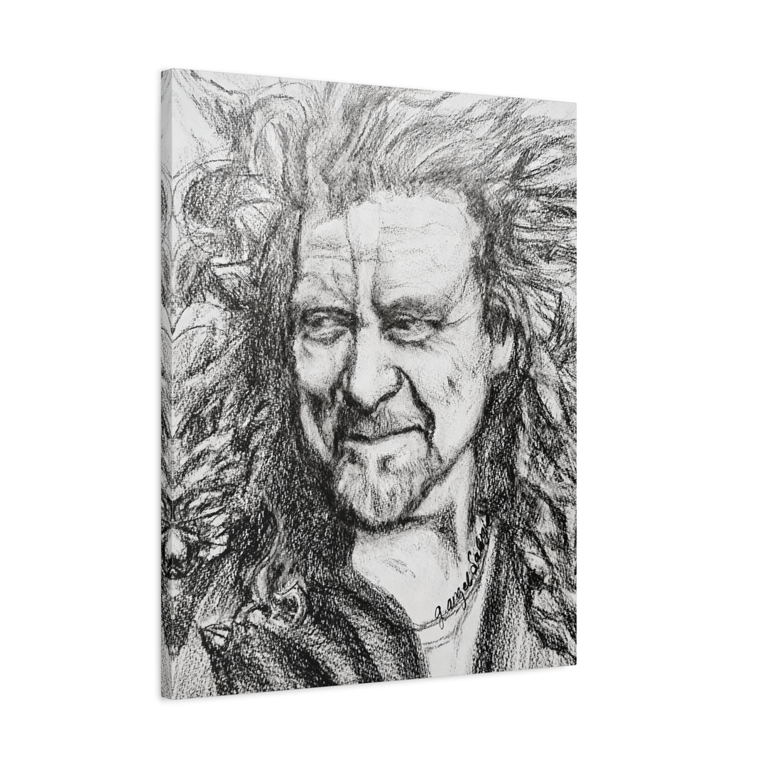 Canvas Print - Robert Plant Rock and Roll Portrait