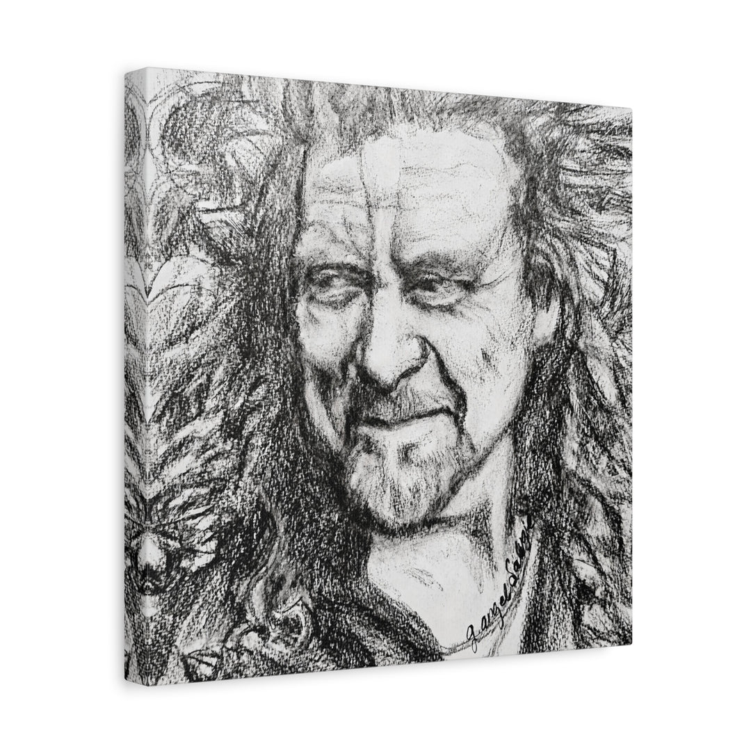Canvas Print - Robert Plant Rock and Roll Portrait