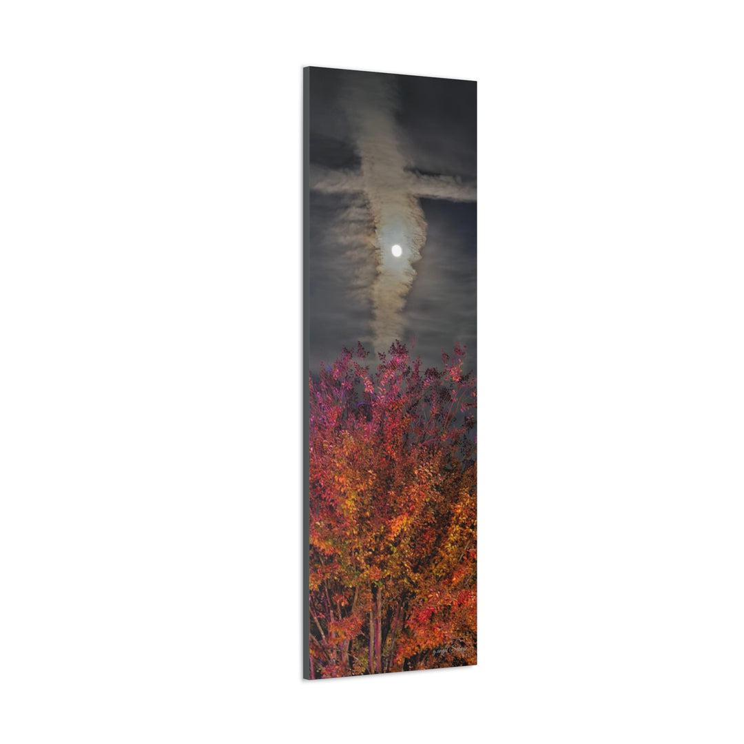 Once Upon a Moon Canvas Gallery Wraps