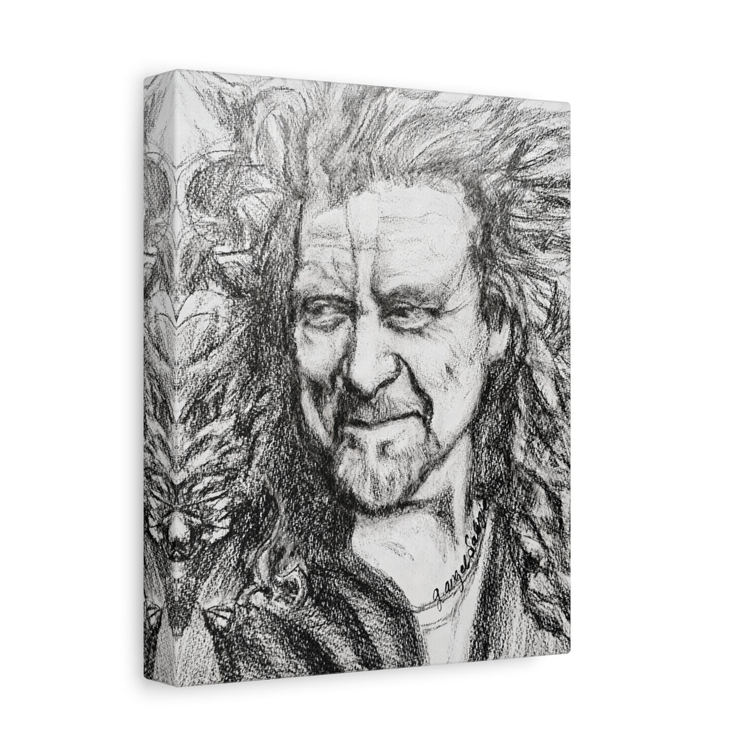 Canvas Print - Robert Plant Rock and Roll Portrait