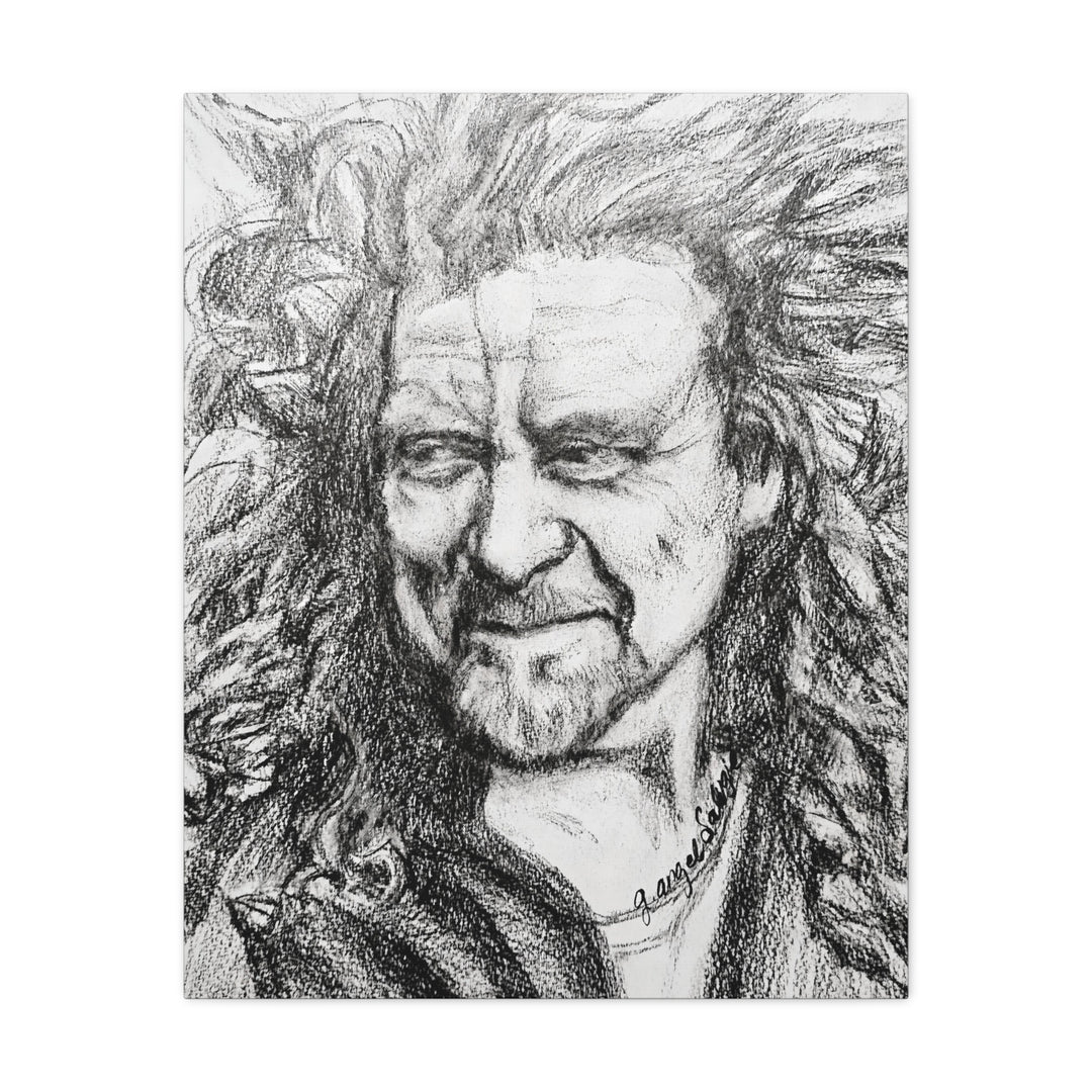 Canvas Print - Robert Plant Rock and Roll Portrait