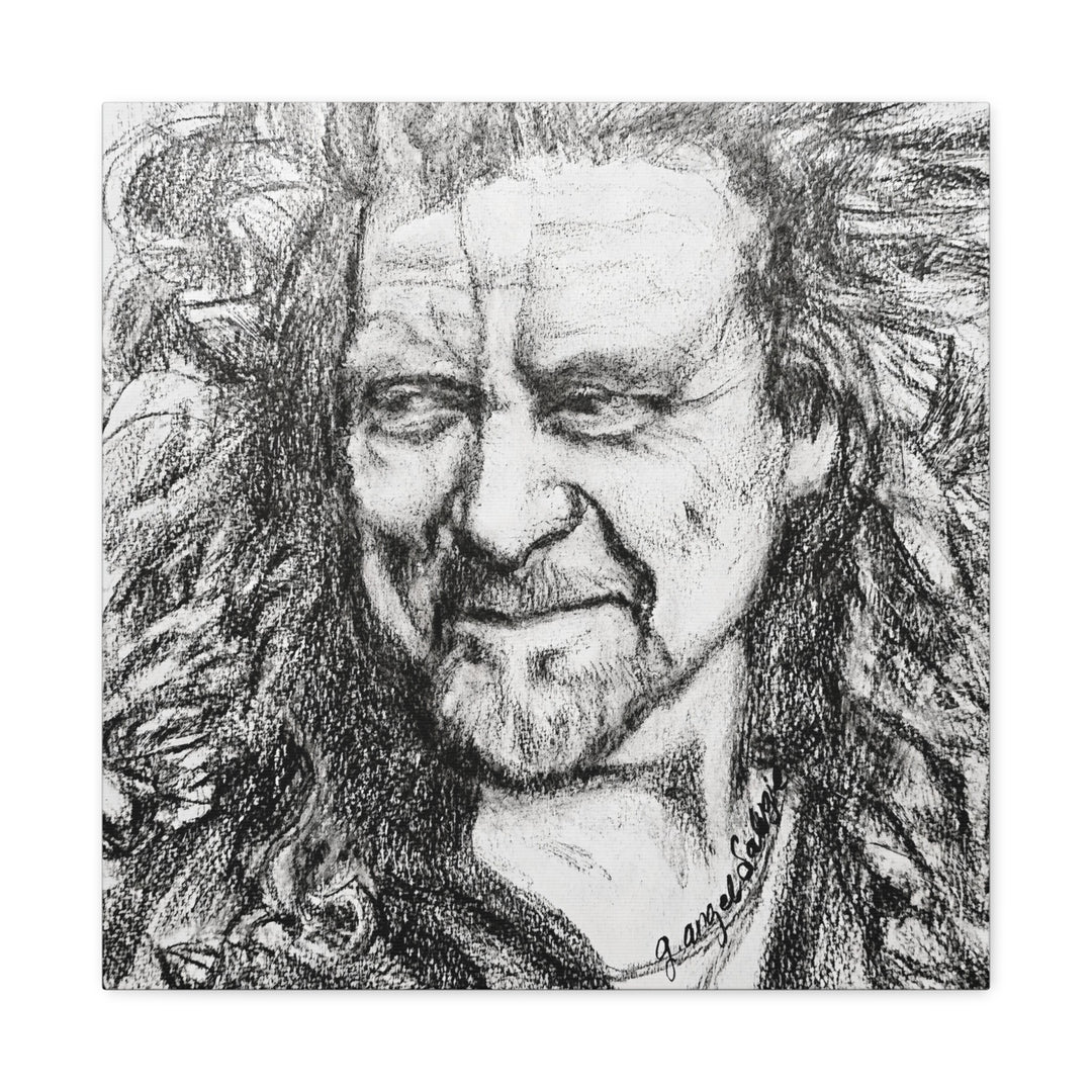 Canvas Print - Robert Plant Rock and Roll Portrait