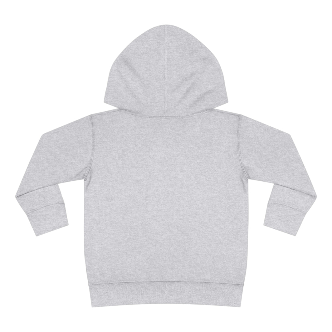 Stay positive dawg Pullover Fleece Hoodie