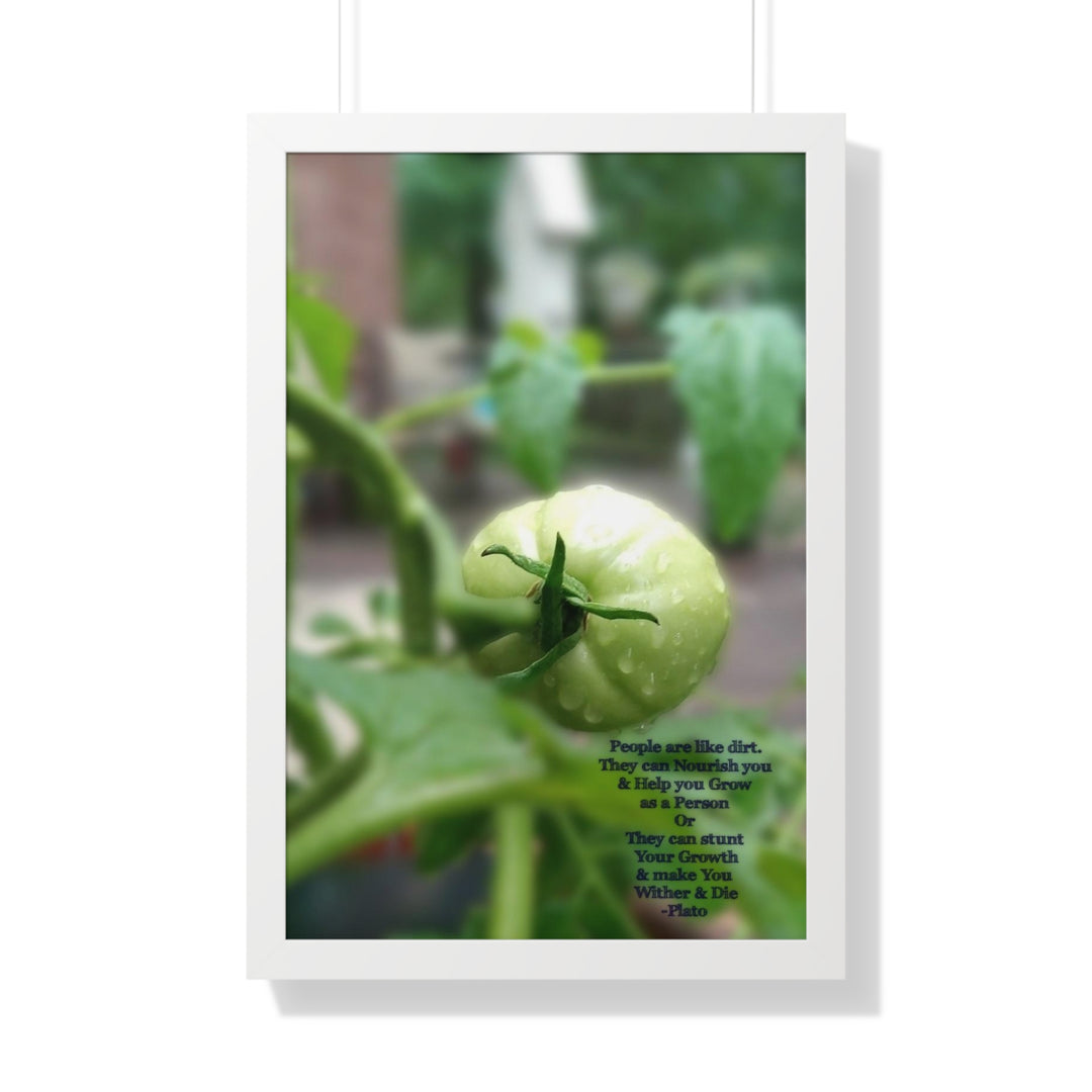 What type of soil are you? PLATO QUOTE, Framed Vertical Poster