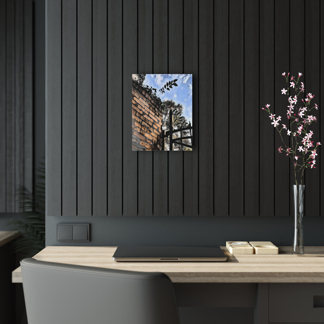 An Ivy Green Sky Acrylic Prints