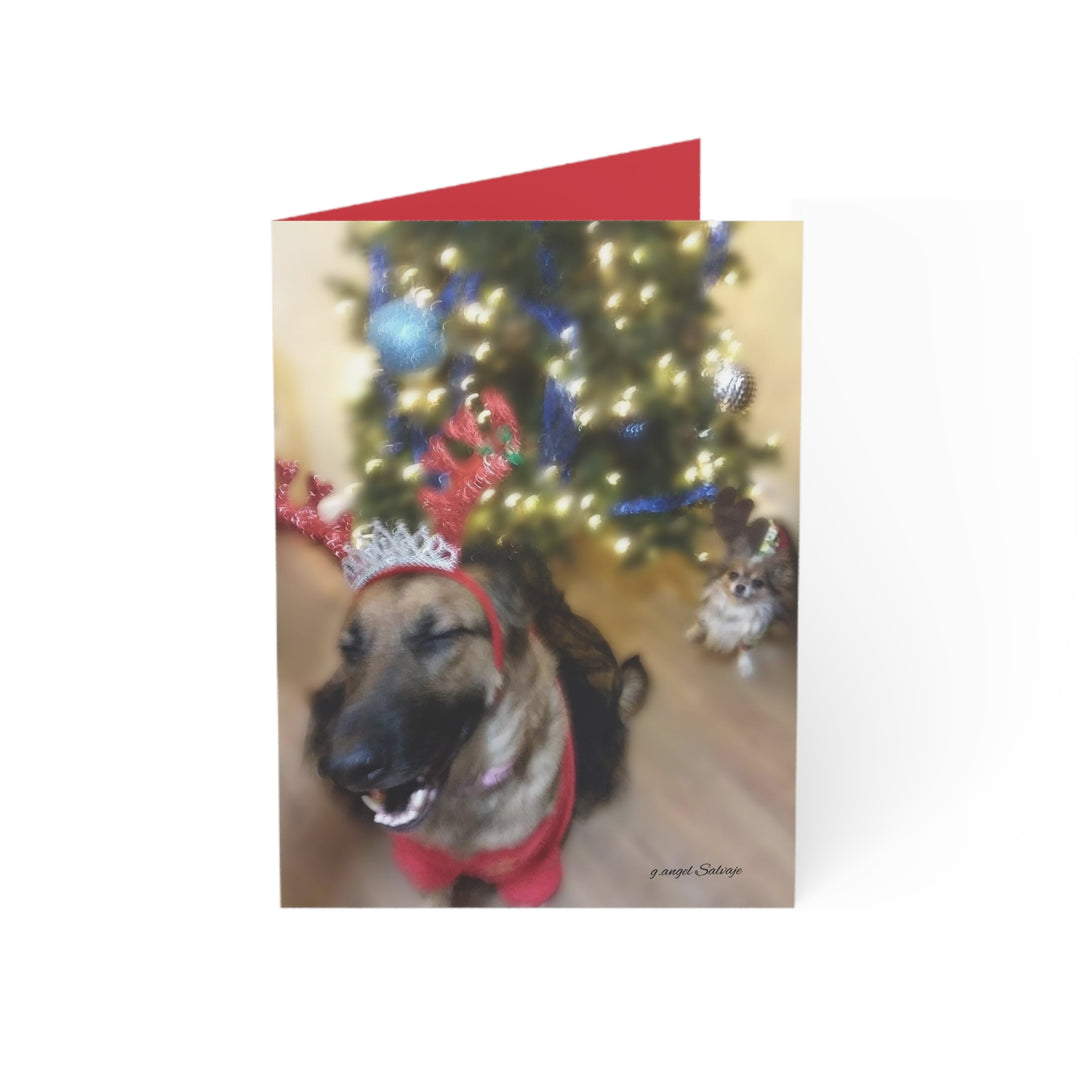 Greeting Cards Cheeky Christmas Queen & Winston Design Set