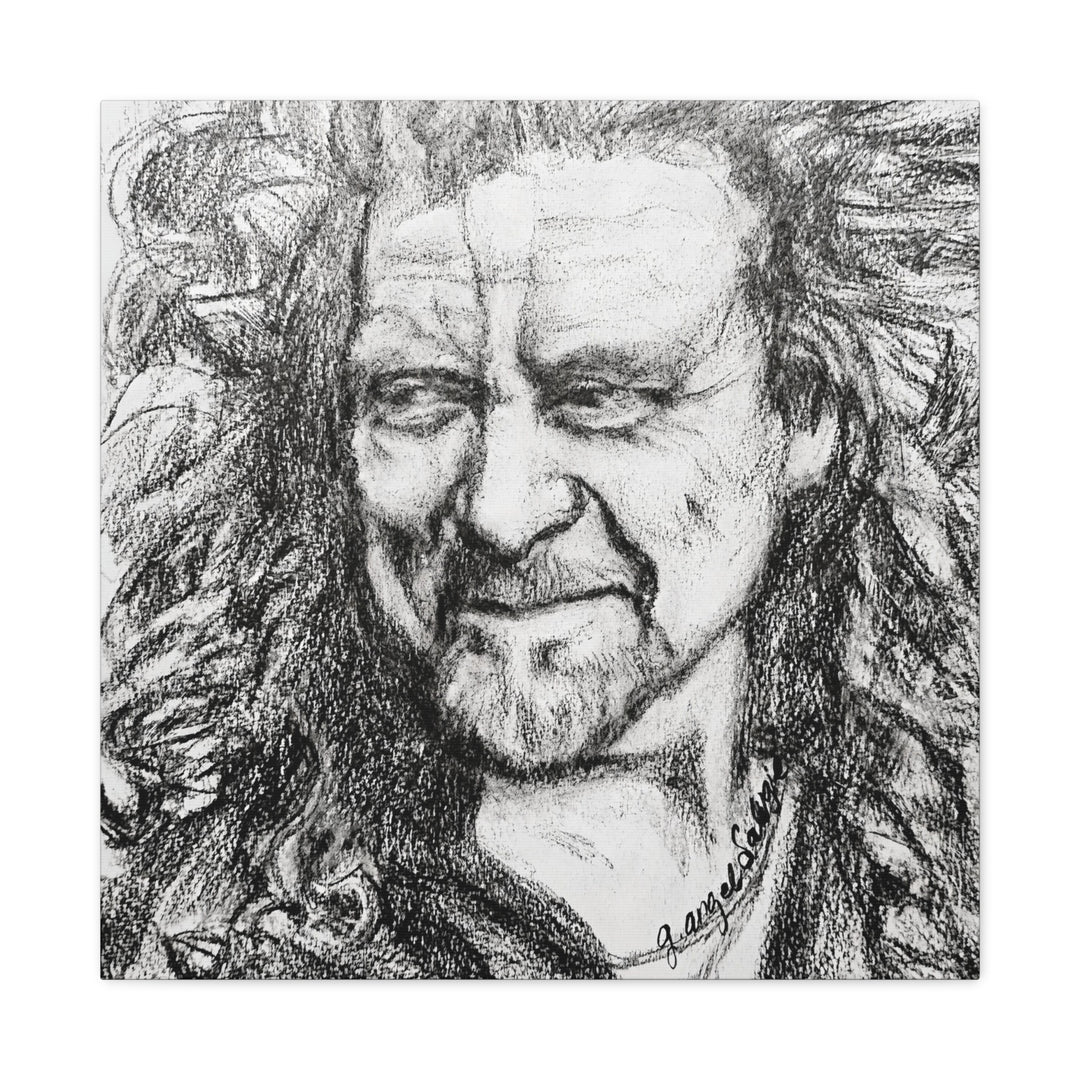 Canvas Print - Robert Plant Rock and Roll Portrait