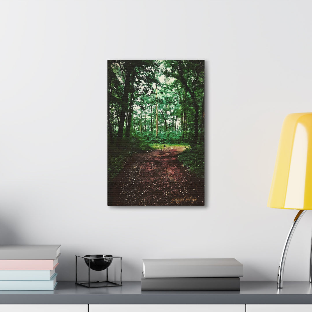 Long and Winding Path Canvas Gallery Wraps