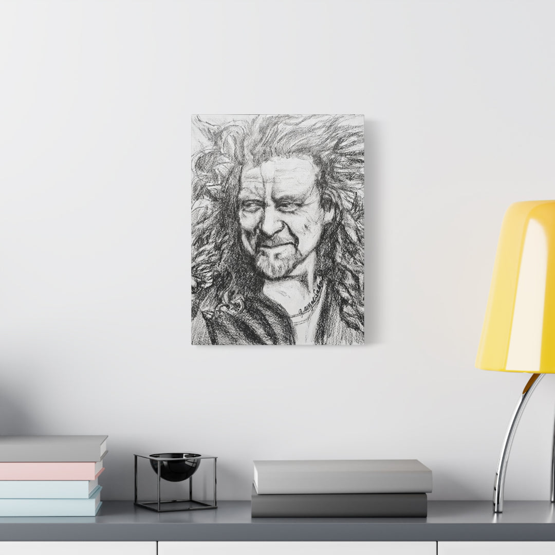 Canvas Print - Robert Plant Rock and Roll Portrait