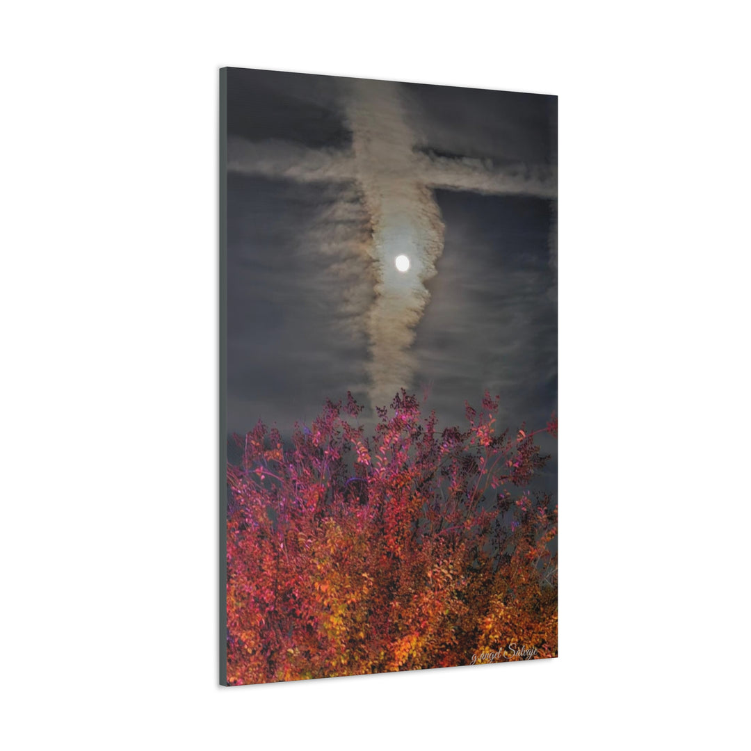Once Upon a Moon Canvas Gallery Wraps