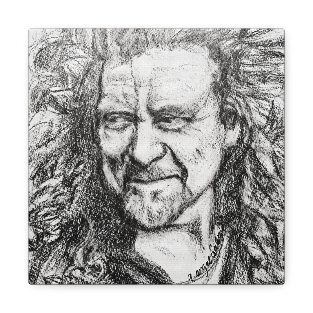 Canvas Print - Robert Plant Rock and Roll Portrait