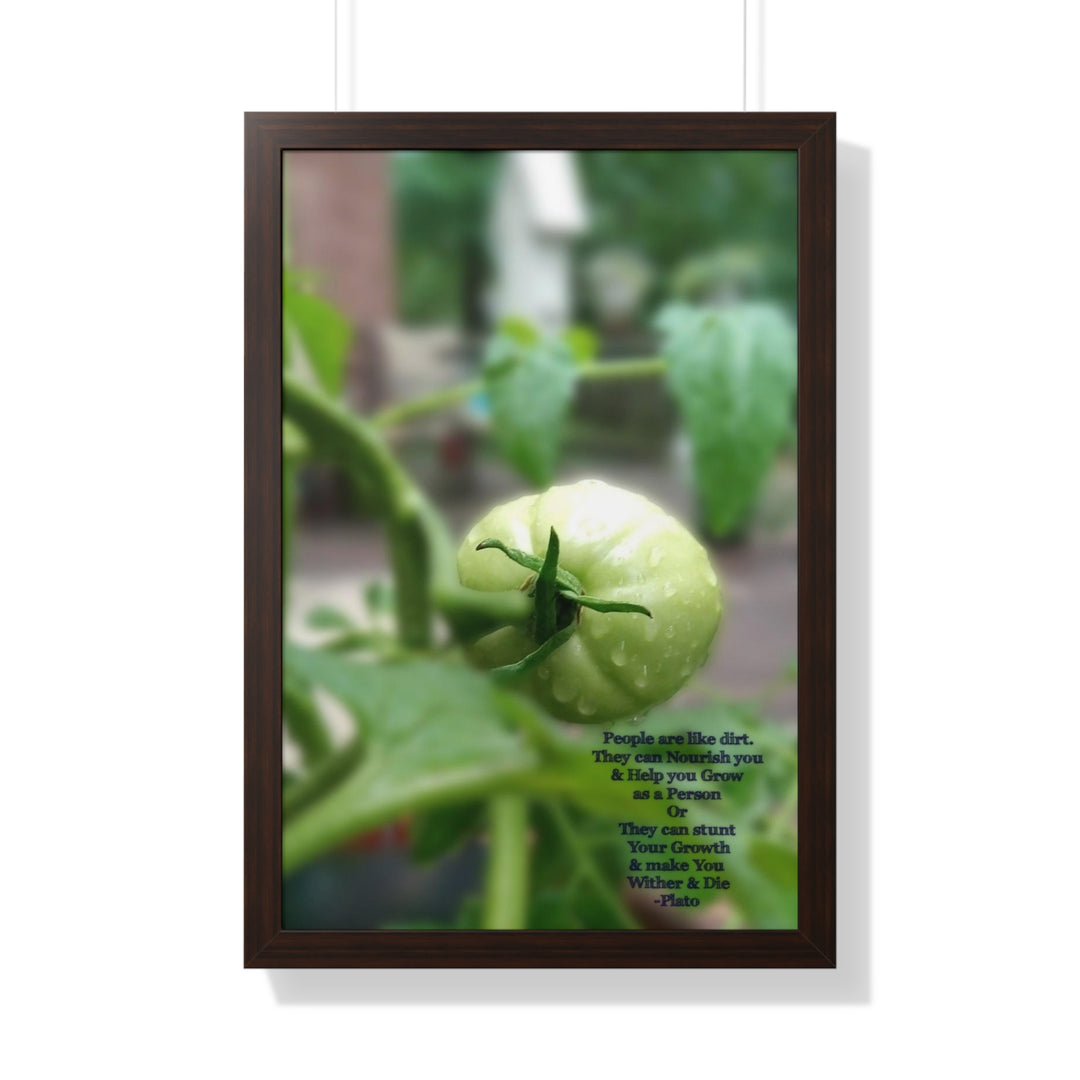 What type of soil are you? PLATO QUOTE, Framed Vertical Poster