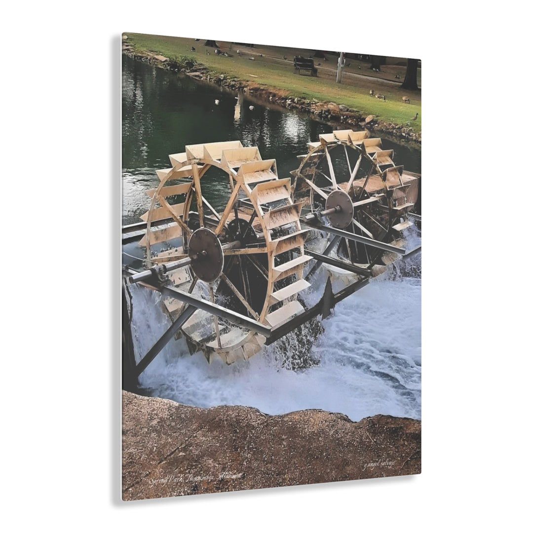 Water Wheel , Spring Park  Acrylic Prints