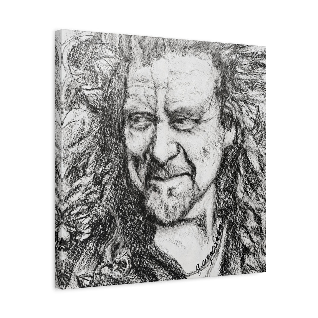 Canvas Print - Robert Plant Rock and Roll Portrait