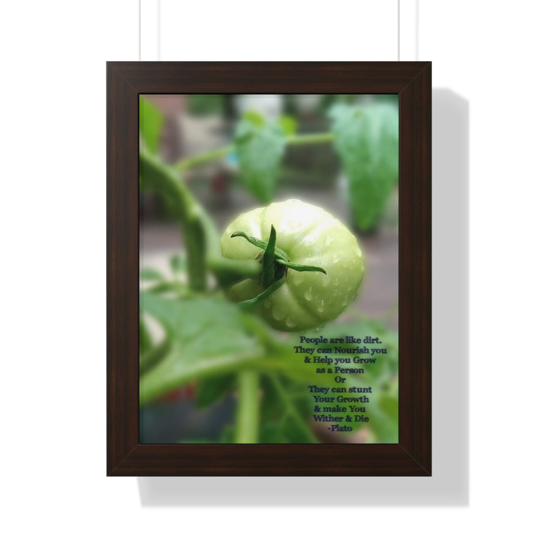 What type of soil are you? PLATO QUOTE, Framed Vertical Poster