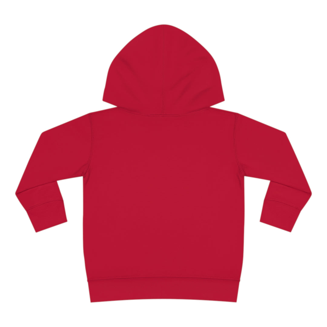 Stay positive dawg Pullover Fleece Hoodie