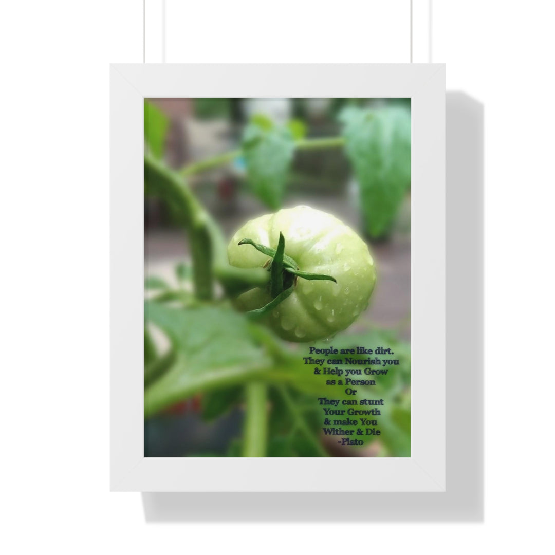 What type of soil are you? PLATO QUOTE, Framed Vertical Poster