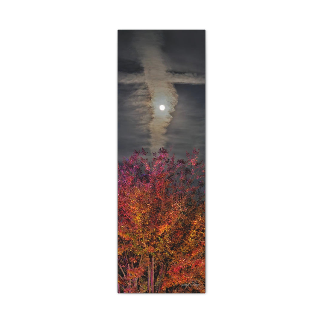 Once Upon a Moon Canvas Gallery Wraps