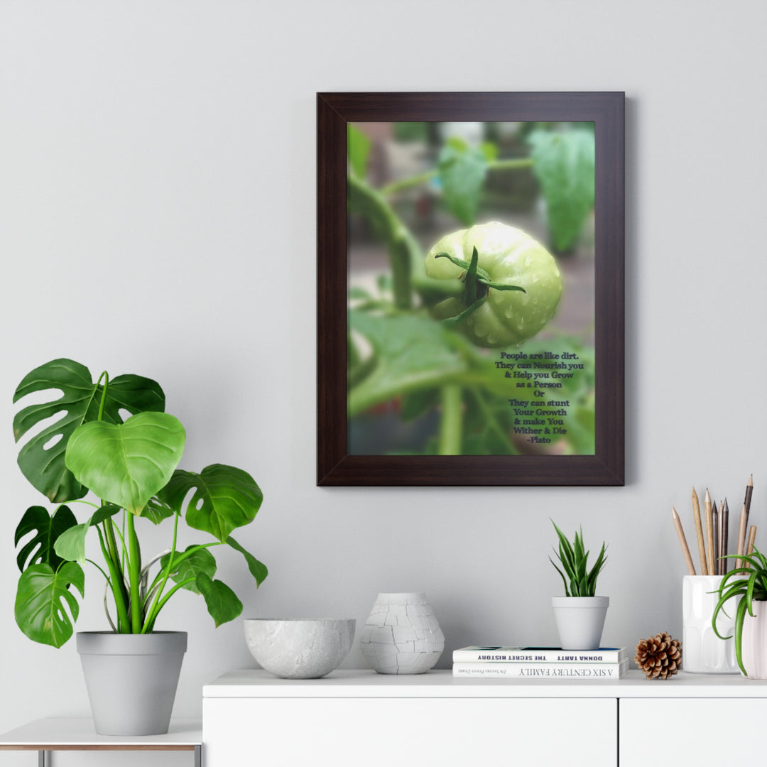 What type of soil are you? PLATO QUOTE, Framed Vertical Poster