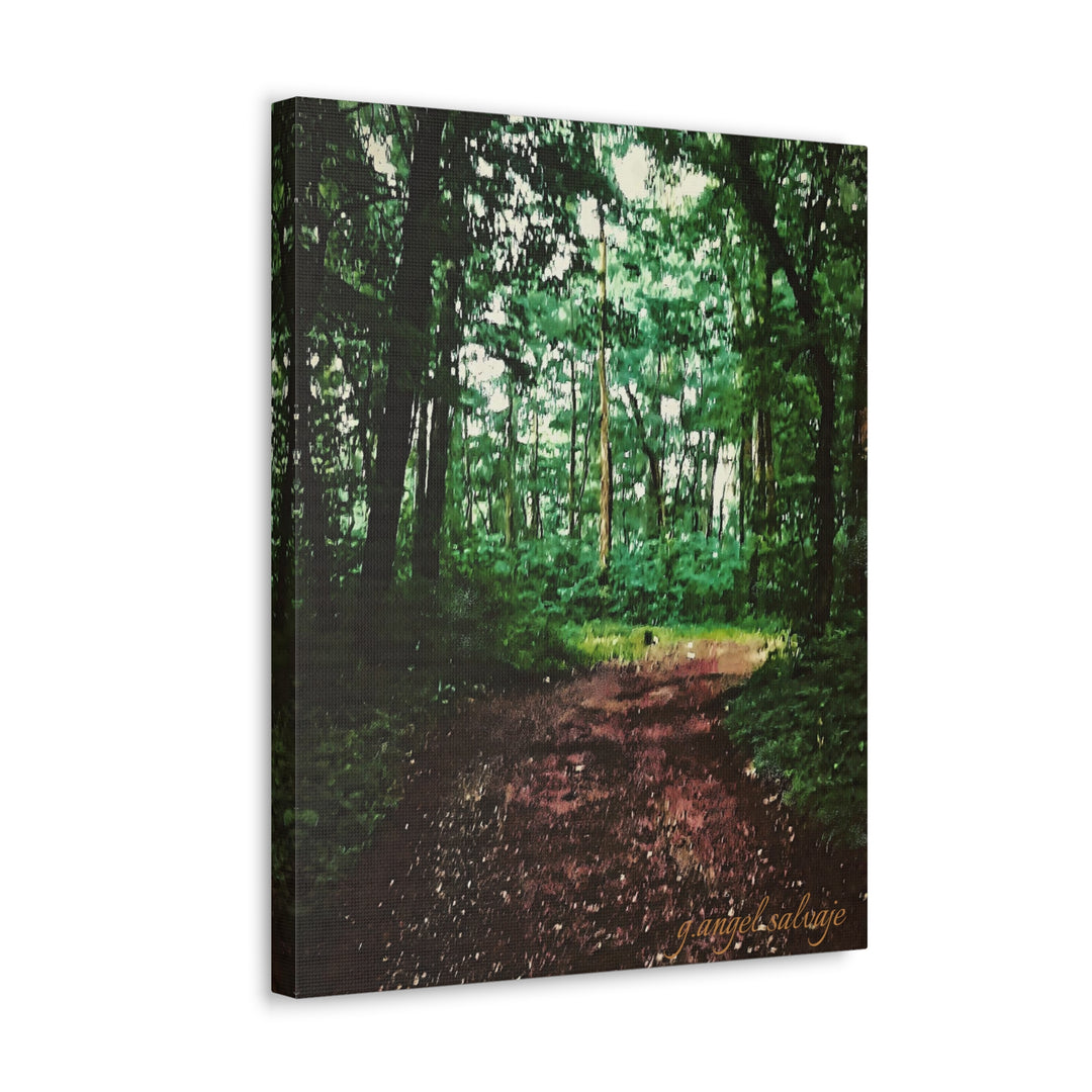 Long and Winding Path Canvas Gallery Wraps