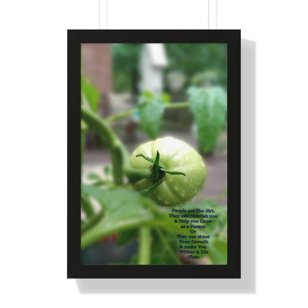 What type of soil are you? PLATO QUOTE, Framed Vertical Poster