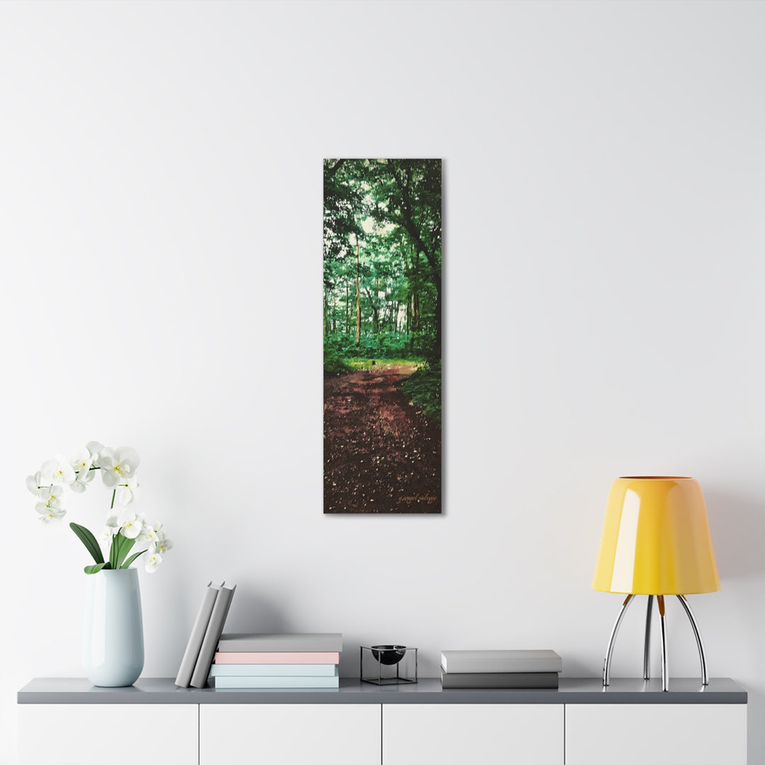 Long and Winding Path Canvas Gallery Wraps