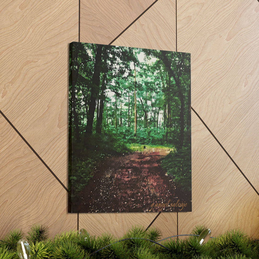 Long and Winding Path Canvas Gallery Wraps