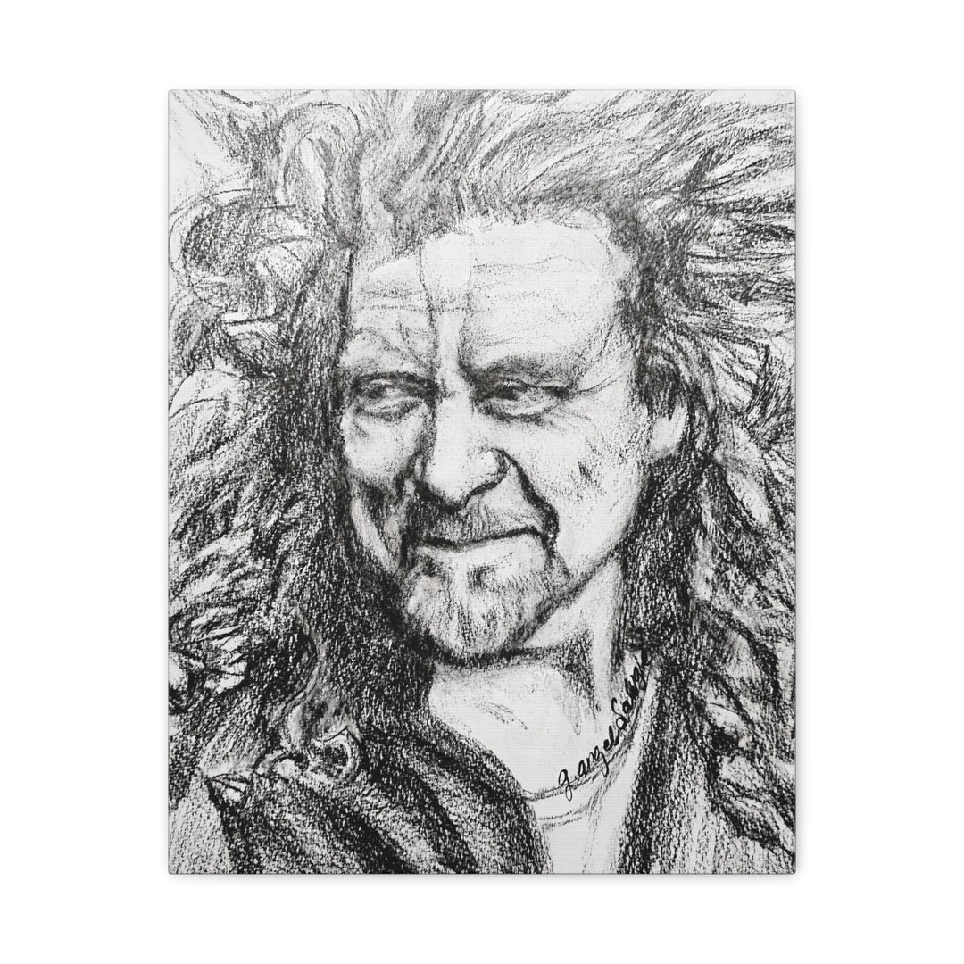 Canvas Print - Robert Plant Rock and Roll Portrait