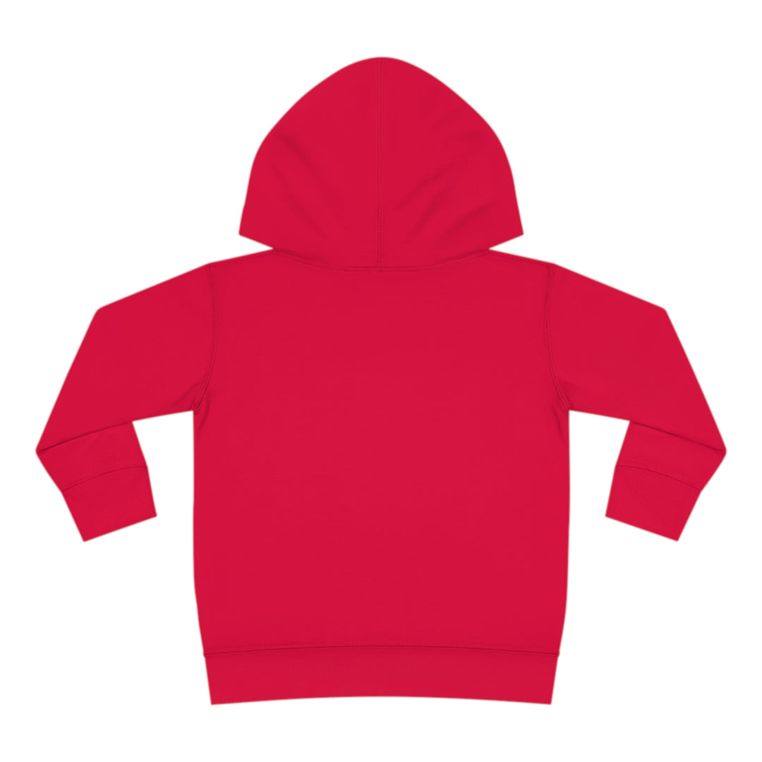 Stay positive dawg Pullover Fleece Hoodie