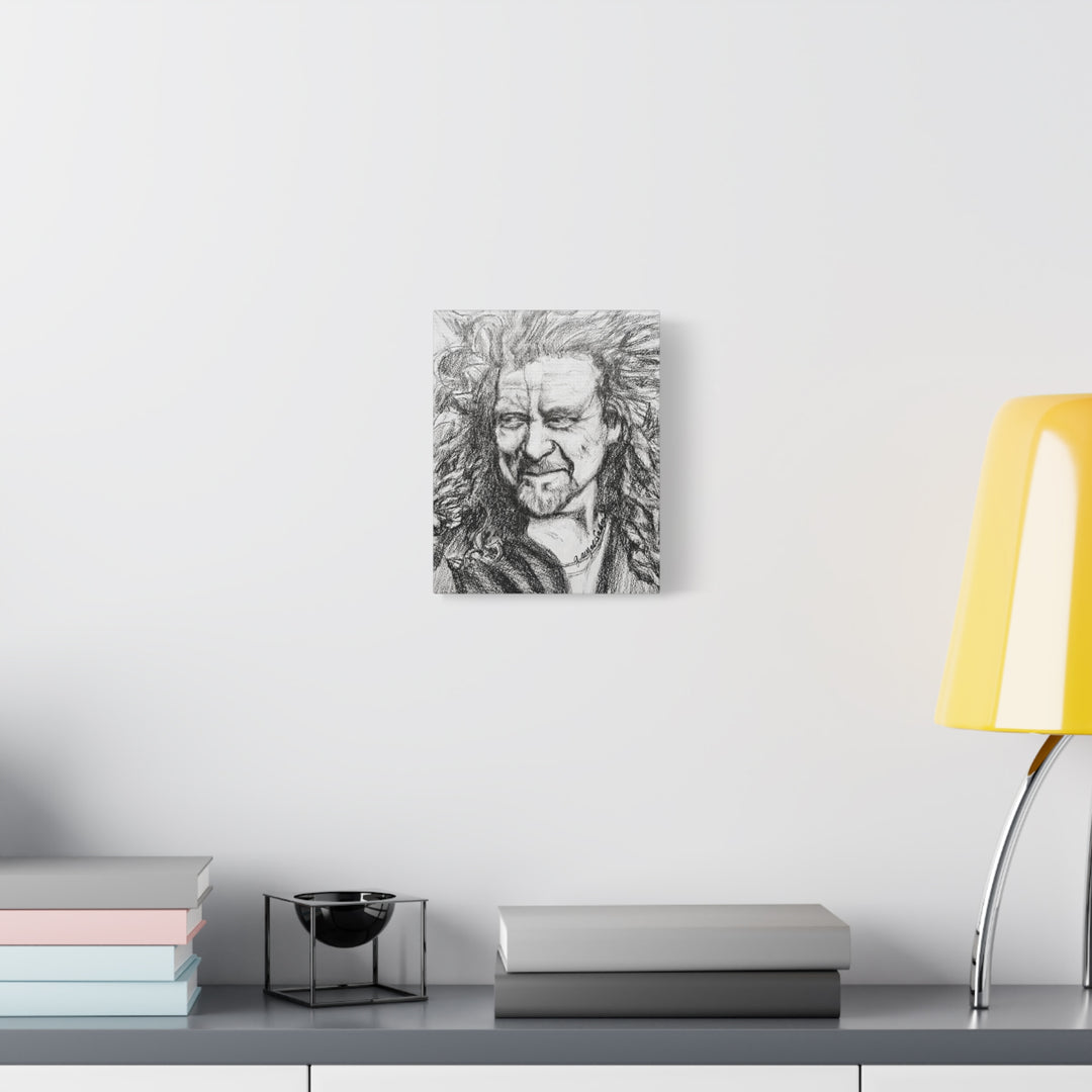 Canvas Print - Robert Plant Rock and Roll Portrait