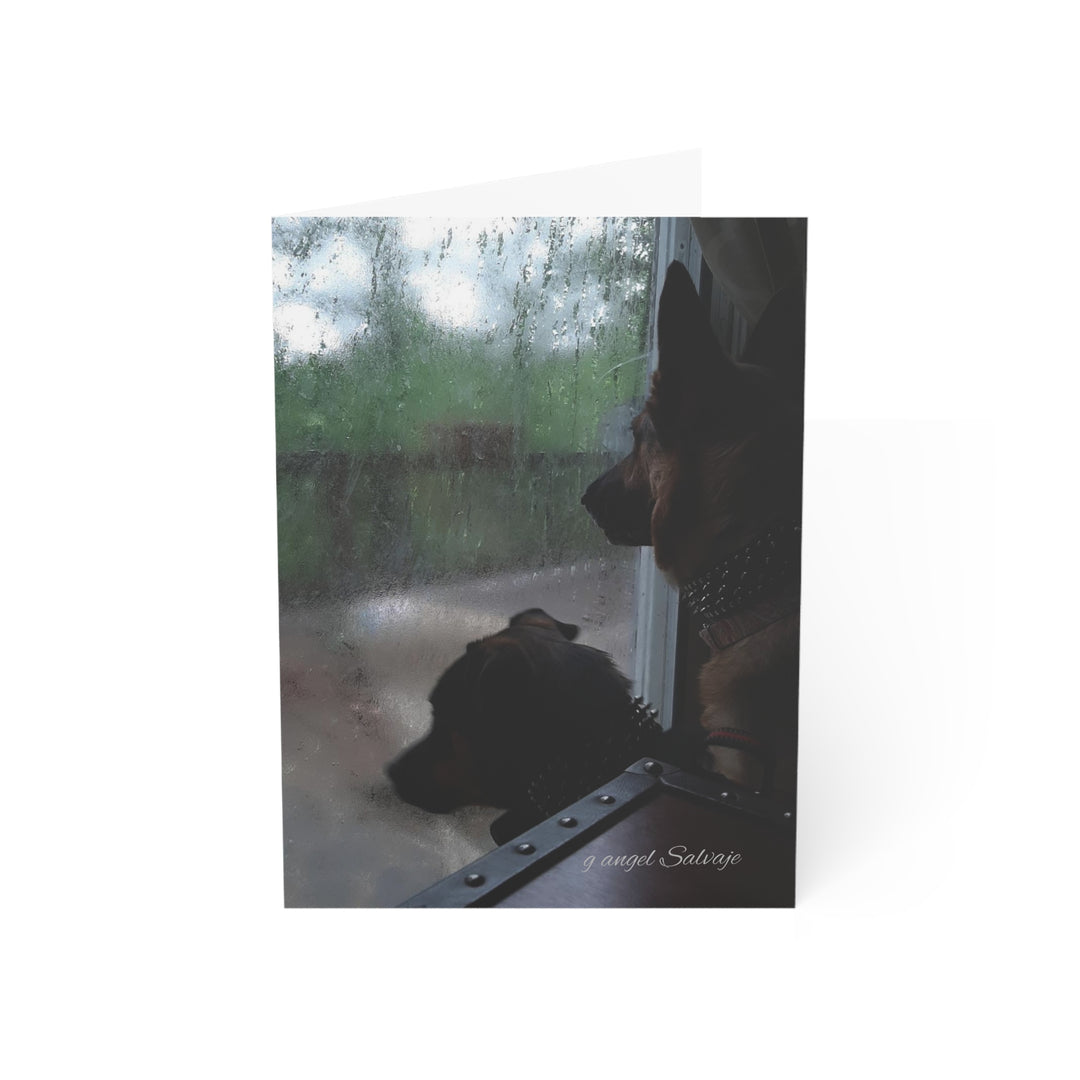 It can't Rain Forever, Disappointed DogsGreeting Cards Set - Perfect for Pet Lovers
