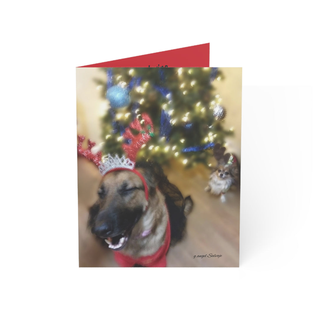 Greeting Cards Cheeky Christmas Queen & Winston Design Set