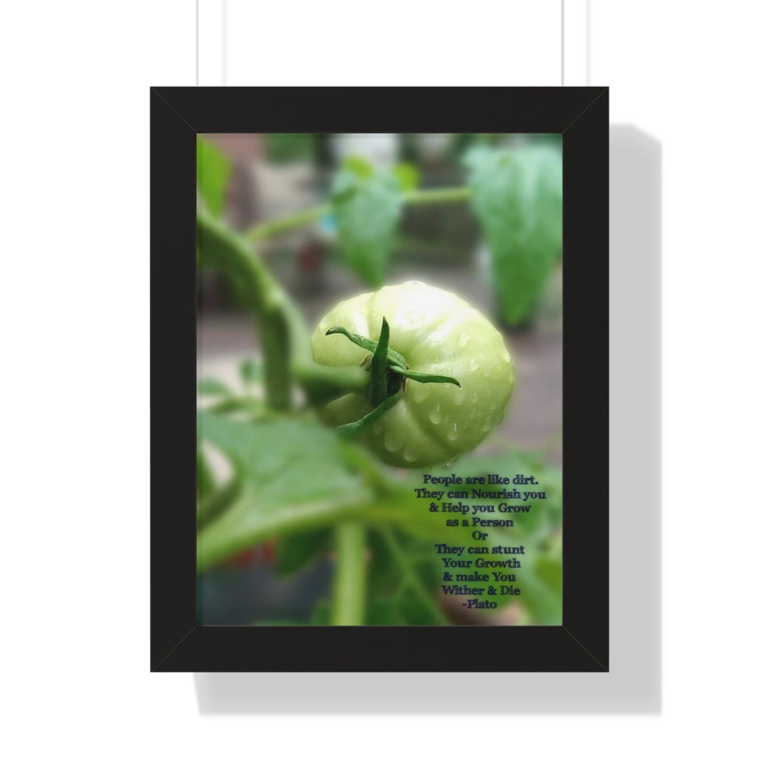 What type of soil are you? PLATO QUOTE, Framed Vertical Poster