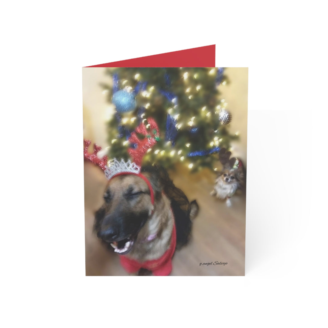 Greeting Cards Cheeky Christmas Queen & Winston Design Set
