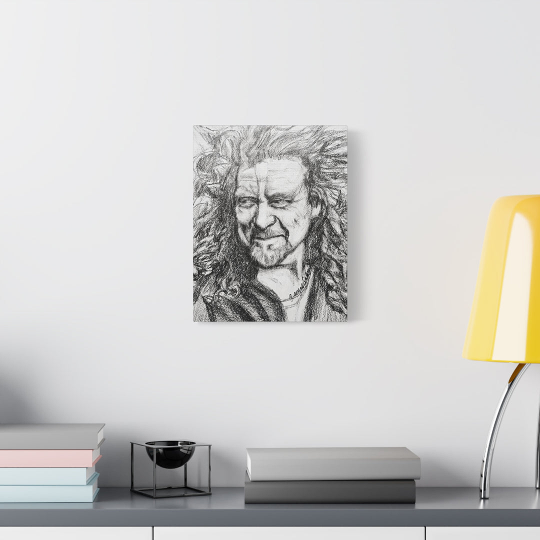 Canvas Print - Robert Plant Rock and Roll Portrait