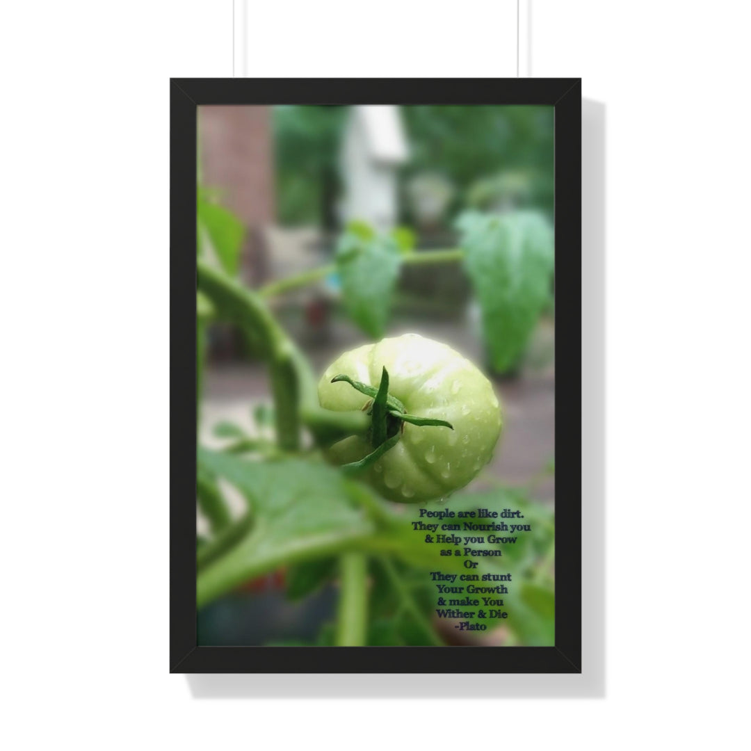 What type of soil are you? PLATO QUOTE, Framed Vertical Poster