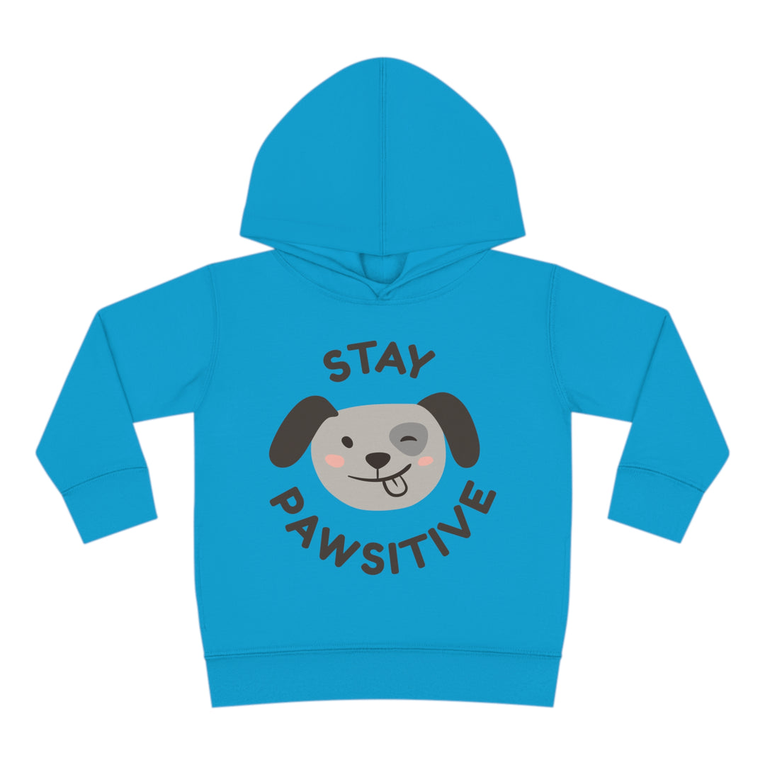 Stay positive dawg Pullover Fleece Hoodie