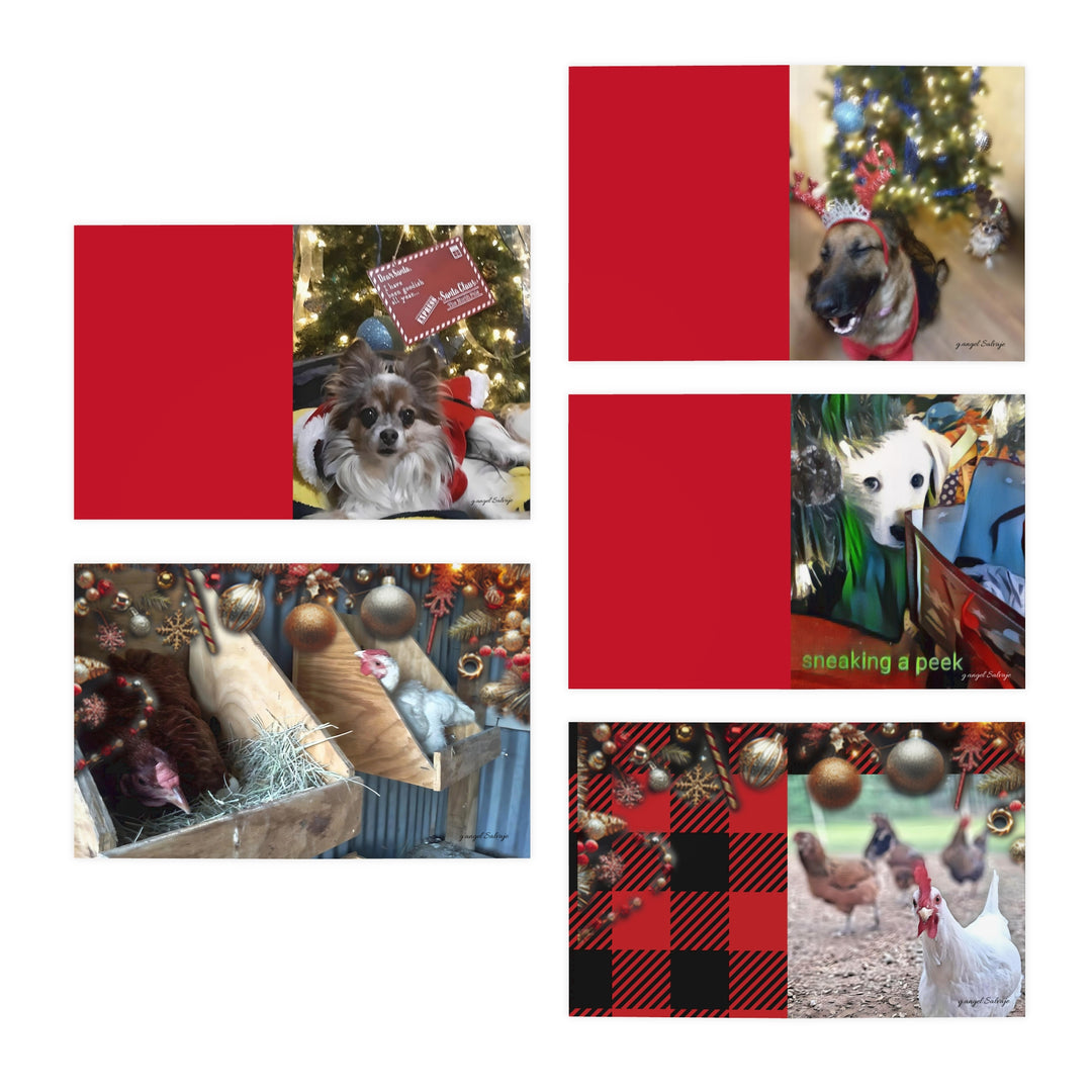 Funny Christmas Greeting Cards (5-Pack)