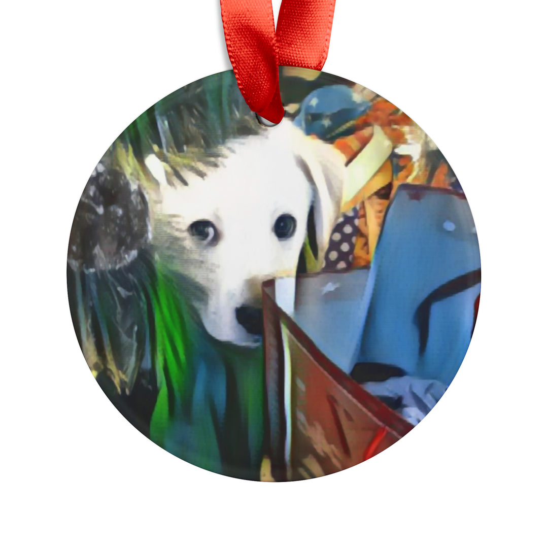 Sneaking A Peak, Acrylic Ornament with Ribbon