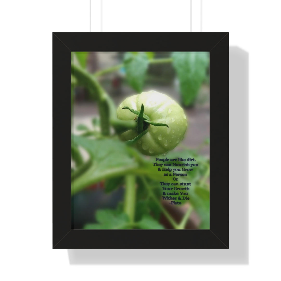 What type of soil are you? PLATO QUOTE, Framed Vertical Poster