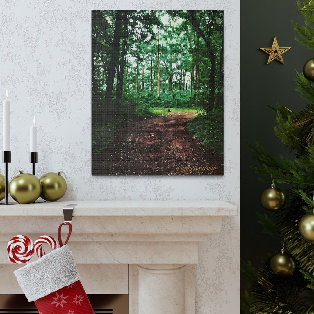Long and Winding Path Canvas Gallery Wraps