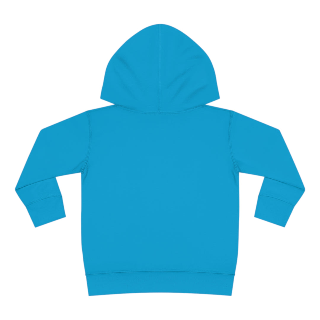 Stay positive dawg Pullover Fleece Hoodie