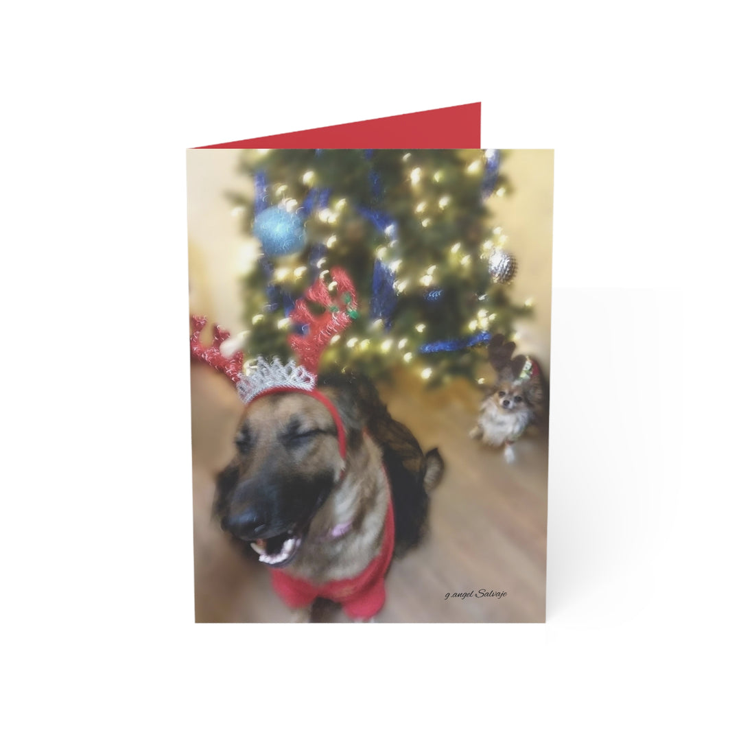 Greeting Cards Cheeky Christmas Queen & Winston Design Set