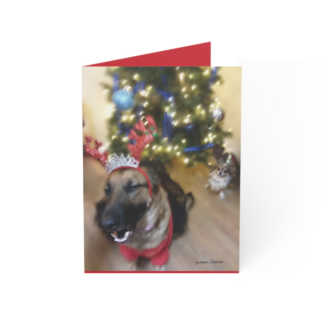 Greeting Cards Cheeky Christmas Queen & Winston Design Set
