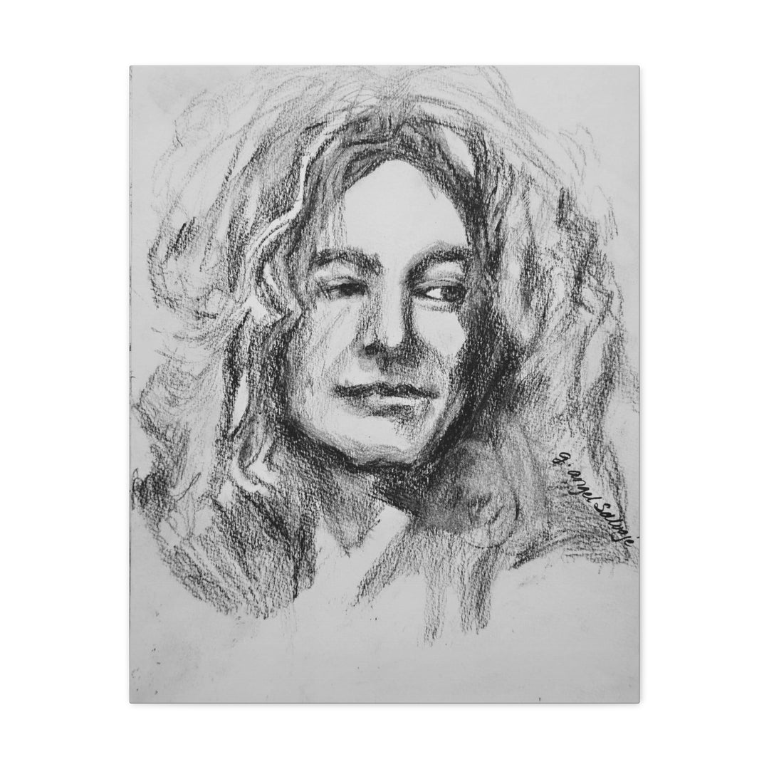 Robert Plant,  B&W Rock and Roll Series, Matte Canvas, Stretched, 1.25"